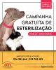 Campanha de esteriliza&ccedil;&atilde;o 2026