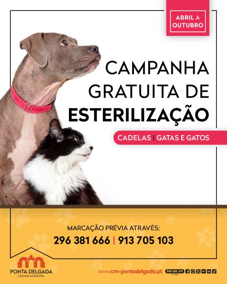 Campanha de esteriliza&ccedil;&atilde;o 2026